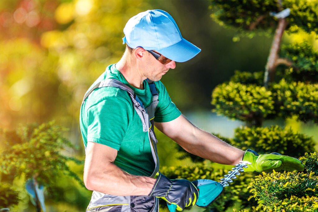 landscaping